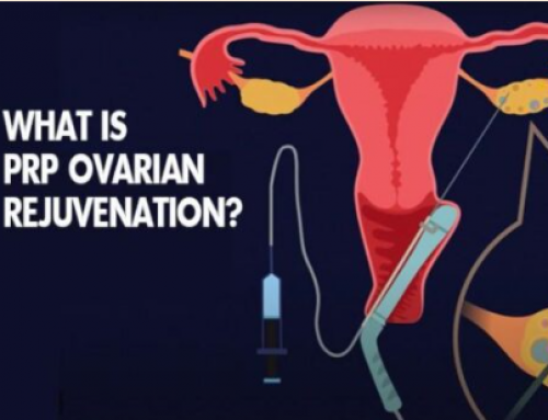 美国试管技术和国内哪个好