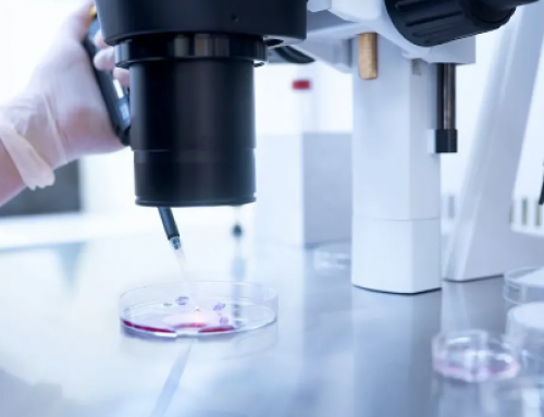 自然生育的孩子和美国三代试管出生的孩子有什么区别