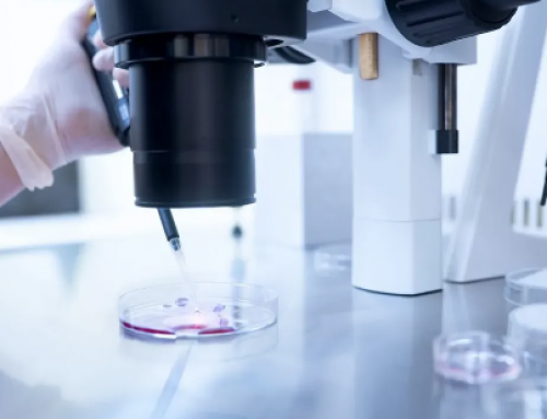 美国试管婴儿促排期间可以服用褪黑素吗