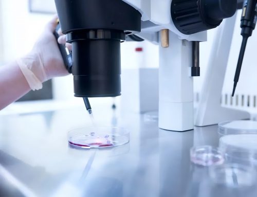 第三代试管婴儿可以筛查那些遗传病？