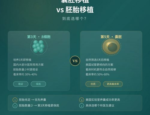 囊胚移植和胚胎移植，到底选哪个？